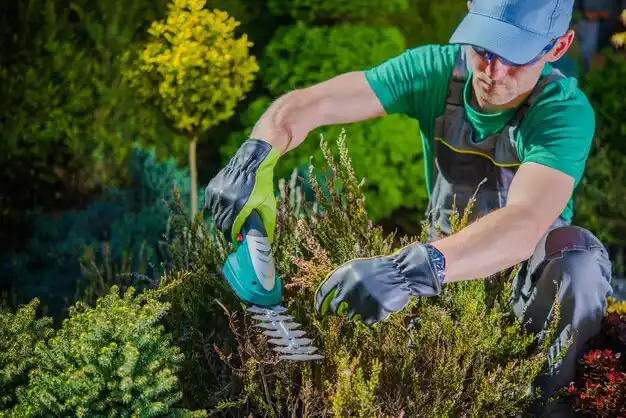 landscaping services Big Rapids
